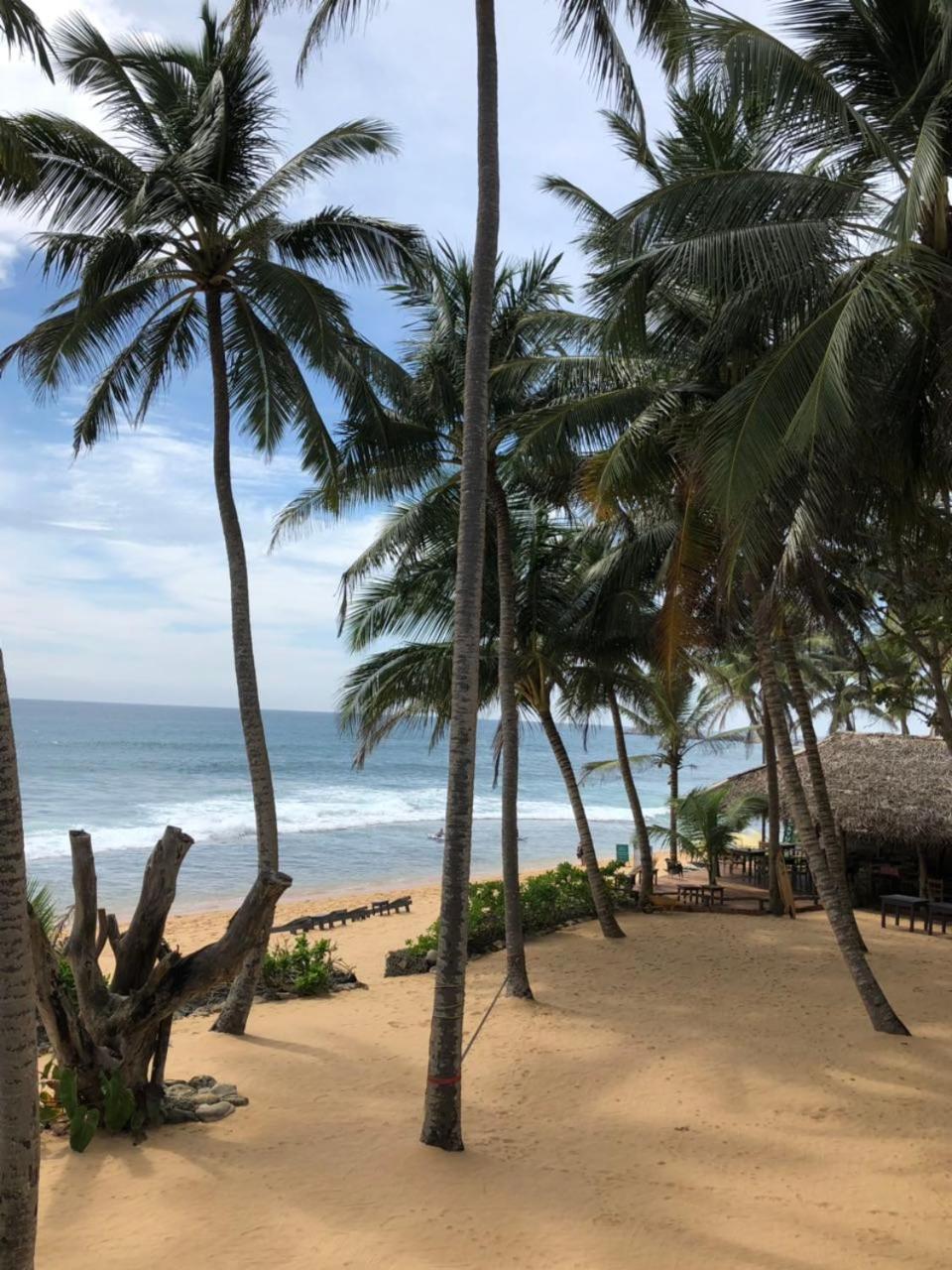 Blue Ocean Villa Хиккадува Экстерьер фото